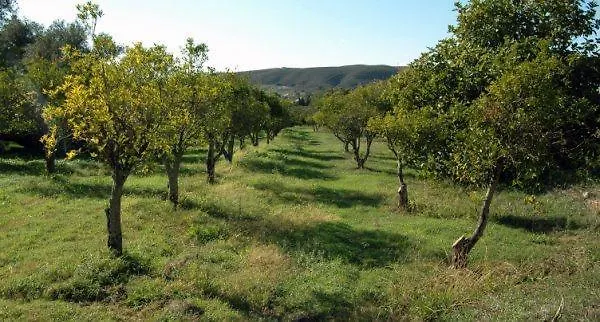 Farm stay Quinta Do Arao Villa Portugal